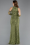 Abendkleid im Meerjungfrau-Stil Lang Spitze Khaki ABU5598