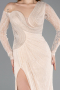 Beige Standesamtkleid Spitze Lang ABU5618