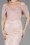 Abendkleid im Meerjungfrau-Stil Lang Spitze Puder ABU5822