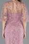 Abendkleid Lang Perlenbesetzt Puder ABU5798