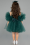 Abendkleid für Kinder Kurz Grün ABK2572