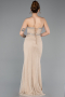Abendkleid im Meerjungfrau-Stil Lang Spitze Beige ABU5921