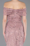 Puder Abendkleid Perlenbesetzt Lang ABU5694
