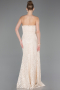 Abendkleid im Meerjungfrau-Stil Lang Spitze Beige ABU5975
