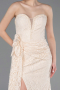 Abendkleid im Meerjungfrau-Stil Lang Spitze Beige ABU5975