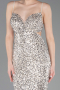 Abschlusskleid Lang Beige ABU5980