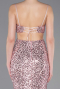 Abschlusskleid Lang Puder ABU5980