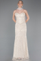 Abendkleid Lang Perlenbesetzt Beige ABU5983
