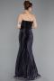 Abschlusskleid Lang Violette ABU6111