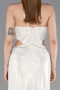 Abschlusskleid Lang Beige ABU6127