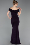 Abschlusskleid Lang Violette ABU6151