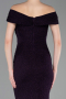 Abschlusskleid Lang Violette ABU6151