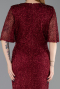 Weinrot Abendkleid İn Übergröße Lang ABU4542