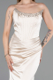 Abendkleid im Meerjungfrau-Stil Satin Lang ABU6109