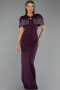 Standesamtkleid Lang Pflaume ABU5889