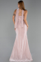 Abendkleid Lang Perlenbesetzt Puder ABU6440