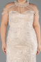 Abendkleid in Übergröße Lang Perlenbesetzt Beige ABU6632
