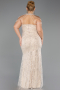 Abendkleid in Übergröße Lang Perlenbesetzt Beige ABU6632