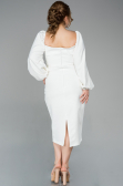 Robe Grande Taille Midi Weib ABK930