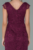 Partykleid Kurz Pflaume ABK010
