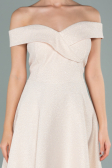 Partykleid Kurz Puder ABK441