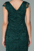 Partykleid Kurz Smaragdgrün ABK010
