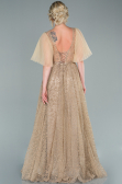 Abendkleid Lang Gold ABU2472