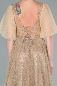 Abendkleid Lang Gold ABU2472