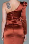 Abendkleid Lang Satin Ziegelrot ABU2676