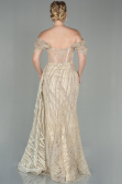 Gold Abendkleid Lang ABU2706
