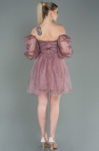 Partykleid Kurz Puder ABK1745