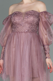 Partykleid Kurz Puder ABK1745