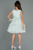 Abendkleid für Kinder Kurz Minzgrün ABK1769