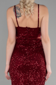 Abendkleid Kurz Weinrot ABK1541