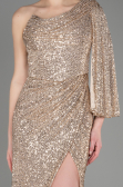 Abendkleid im Meerjungfrau-Stil Lang Gold ABU3667