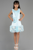 Abendkleid für Kinder Kurz Satin Minzgrün ABK1994