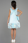 Abendkleid für Kinder Kurz Satin Minzgrün ABK1994
