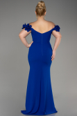 Sächsischblau Abschlusskleid In Übergröße Lang ABU3946