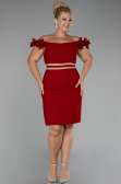 Partykleid Kurz Rot ABK2120