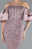 Puder Abendkleid Im Meerjungfrau-Stil Lang ABU4308