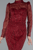 Abendkleid im Meerjungfrau-Stil Lang Weinrot ABU4526