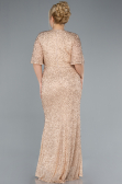 Abendkleid in Übergröße Lang Gold ABU4542