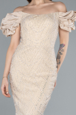 Abendkleid im Meerjungfrau-Stil Lang Gold ABU4509