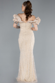 Abendkleid im Meerjungfrau-Stil Lang Gold ABU4509