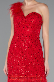 Rot Partykleid Schuppig Kurz ABK2256