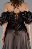 Abendkleid Lang Perlenbesetzt Braun ABU5154