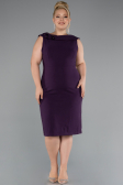 Partykleid in Übergröße Midi Violette ABK2422