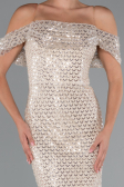 Abendkleid Lang Perlenbesetzt Beige ABU5239