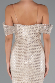 Abendkleid Lang Perlenbesetzt Beige ABU5239