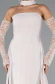 Standesamtkleid Lang Beige ABU5355